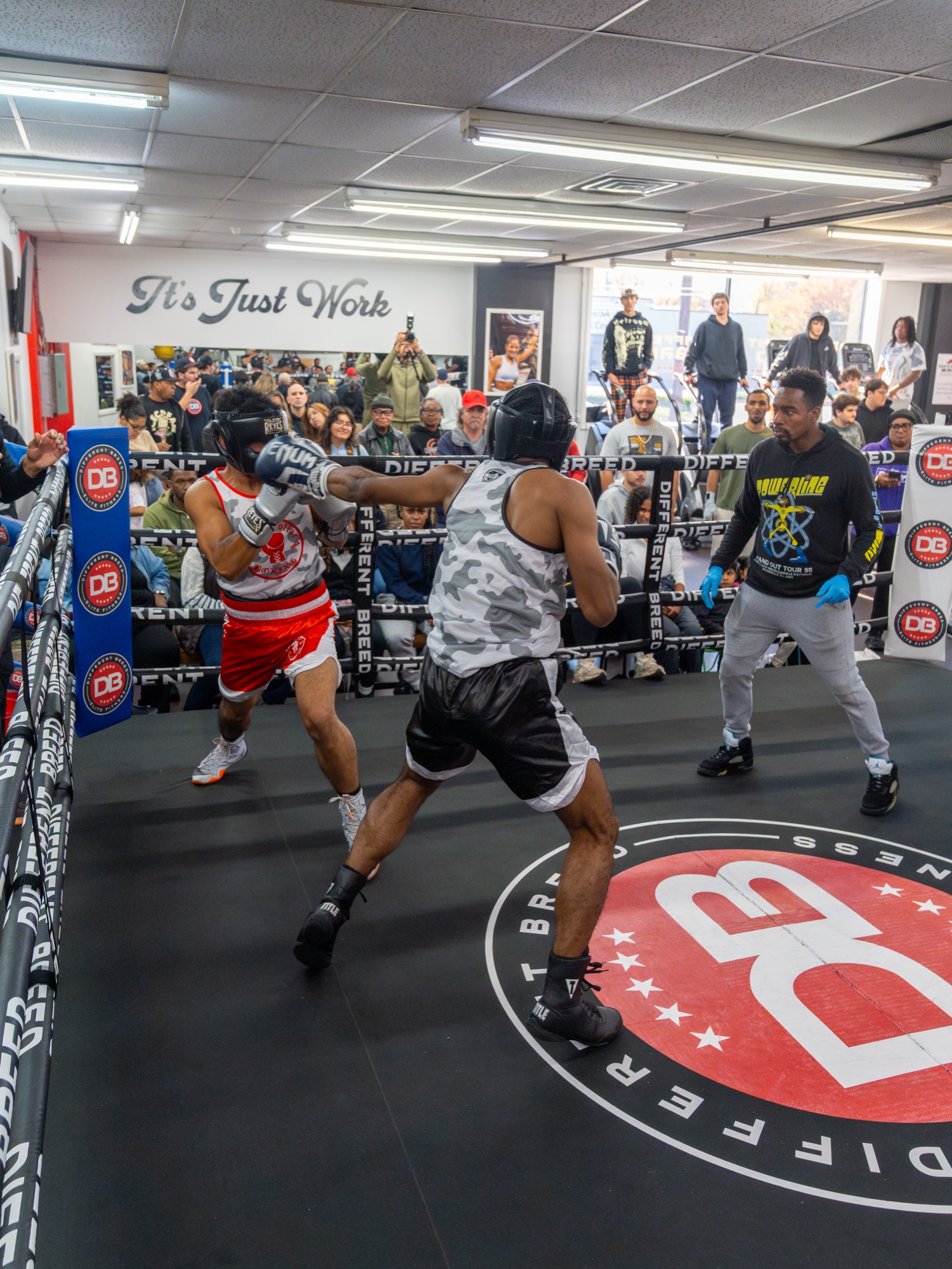 The Sweet Science at Different Breed Elite Fitness
