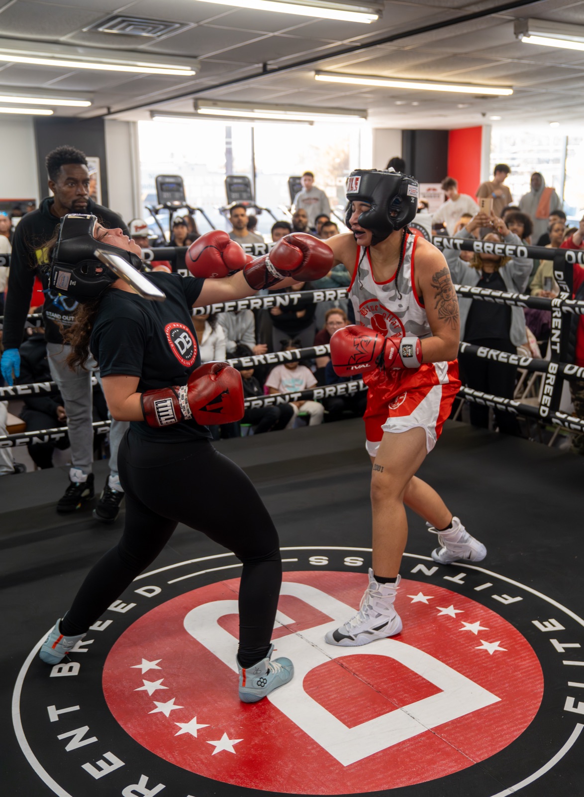 Members mid-workout at Different Breed